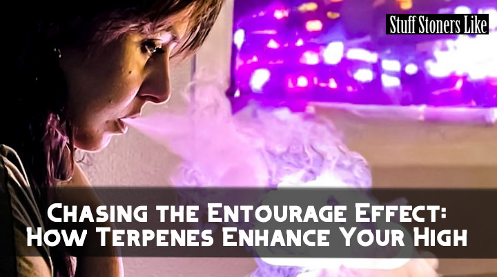 Chasing the Entourage Effect: How Terpenes Enhance Your High