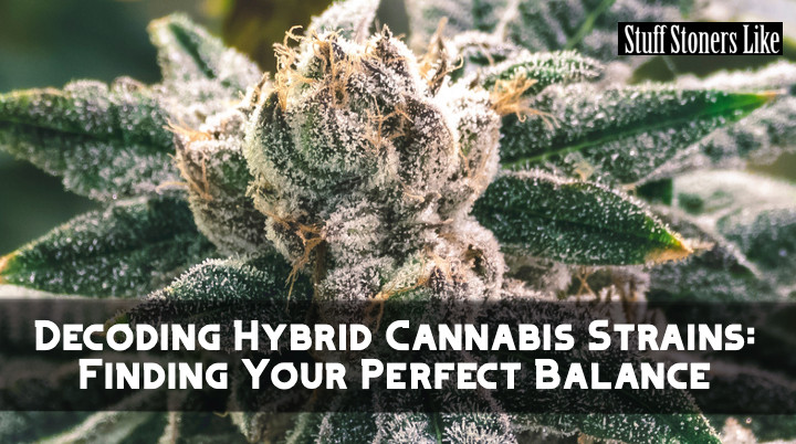 Hybrid Cannabis Strains hero image