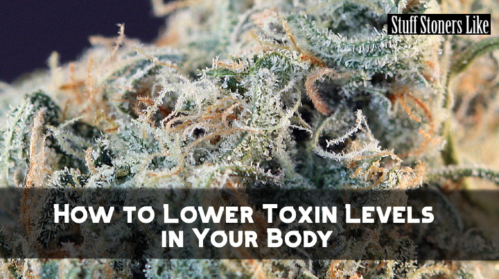 Lower Toxin Levels hero image