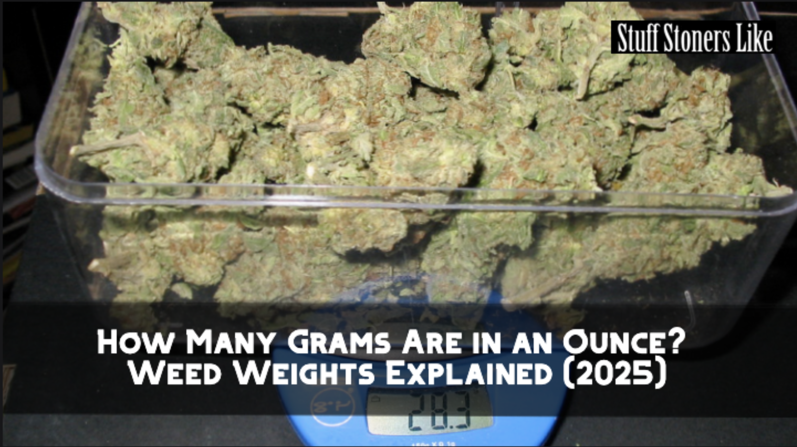 How Many Grams Are in an Ounce?